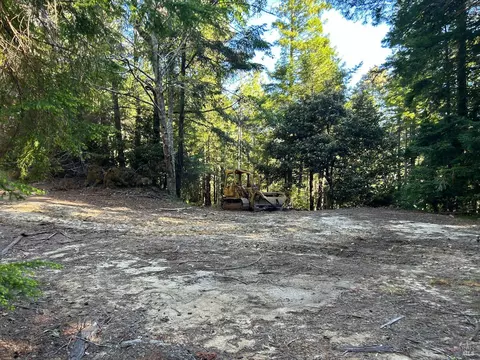 39700 Eureka Hill Rd, Point Arena, CA 95468 photo 3