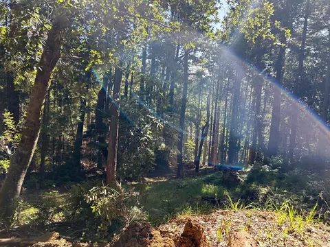 39700 Eureka Hill Rd, Point Arena, CA 95468 photo 6