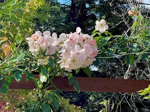 Other - 4038 E 3rd Ave, Napa, CA 94558 photo 7 of 12