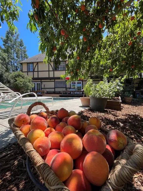 Exterior - 4038 E 3rd Ave, Napa, CA 94558 photo 17 of 43