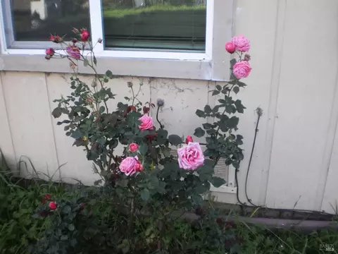 1911 Corby Ave, Santa Rosa, CA 95407