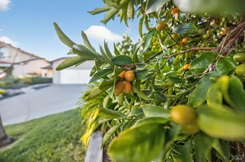 Exterior - 1056 Esparto Ct, Windsor, CA 95492 photo 2 of 16