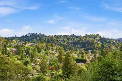 View/Area - 711 Forest Way, Mill Valley, CA 94941 photo 1 of 1