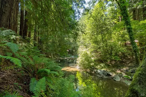 View/Area - 7001 Lucas Valley Rd, Nicasio, CA 94946 photo 3 of 3
