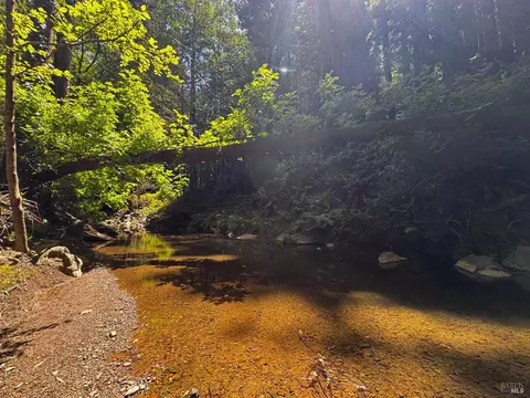 Other - 7001 Lucas Valley Rd, Nicasio, CA 94946 photo 8 of 8