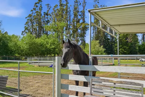 Other - 4320 Roblar Rd, Petaluma, CA 94952 photo 7 of 9