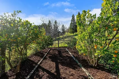 Exterior - 23121 Vineyard Rd, Geyserville, CA 95441 photo 13 of 15