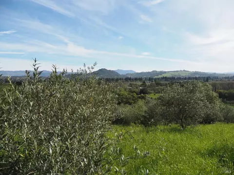 1077 Westside Rd, Healdsburg, CA 95448 photo 40