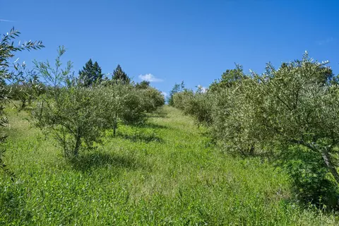 1077 Westside Rd, Healdsburg, CA 95448 photo 14