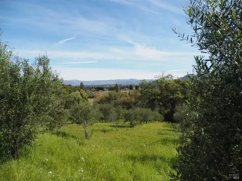 1077 Westside Rd, Healdsburg, CA 95448 photo 39
