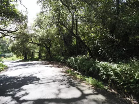 1077 Westside Rd, Healdsburg, CA 95448 photo 43