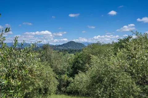 1077 Westside Rd, Healdsburg, CA 95448 photo 15