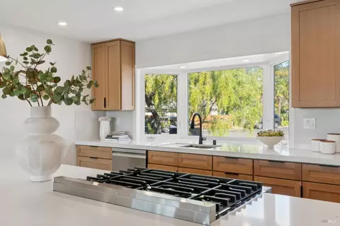 44 Summit Ave, San Rafael, CA 94901 photo 17