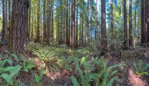 36505 Deep Woods Dr, The Sea Ranch, CA 95497