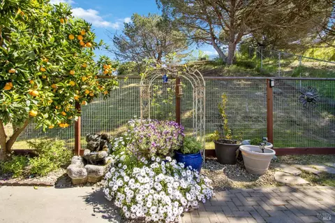 Exterior - 1314 Turquoise Dr, Hercules, CA 94547 photo 8 of 15