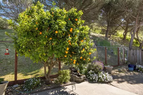 Exterior - 1314 Turquoise Dr, Hercules, CA 94547 photo 9 of 15