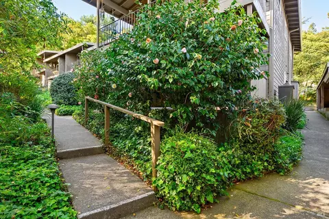 1411 Casa Buena Dr #31, Corte Madera, CA 94925