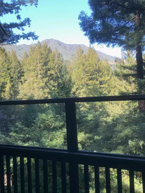 39 Renz Rd, Mill Valley, CA 94941 photo 69