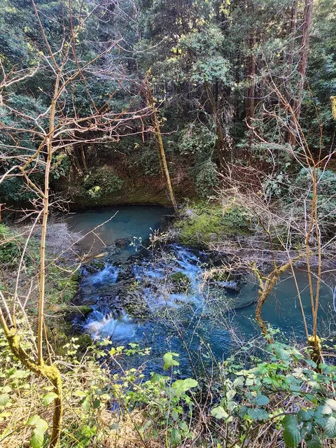 12701 Irmulco Rd, Fort Bragg, CA 95437 photo 7