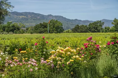 Other - 900 Rutherford Rd, Rutherford, CA 94573 photo 4 of 21