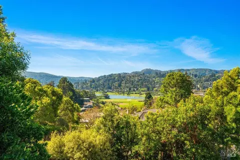 105 Kipling Dr, Mill Valley, CA 94941 photo 63