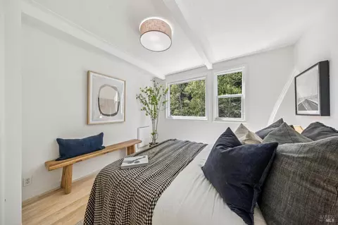 Bedroom - 334 W Blithedale Ave, Mill Valley, CA 94941 photo 15 of 16