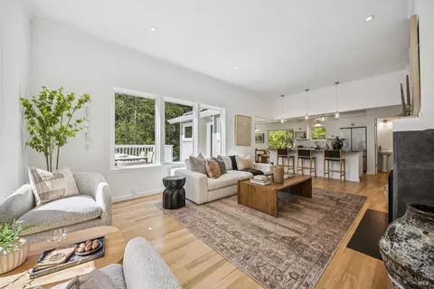 Living - 334 W Blithedale Ave, Mill Valley, CA 94941 photo 4 of 8