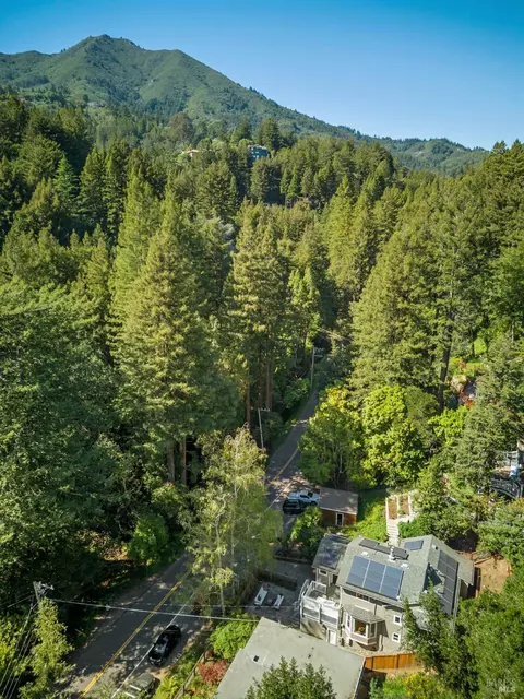 View/Area - 334 W Blithedale Ave, Mill Valley, CA 94941 photo 1 of 1