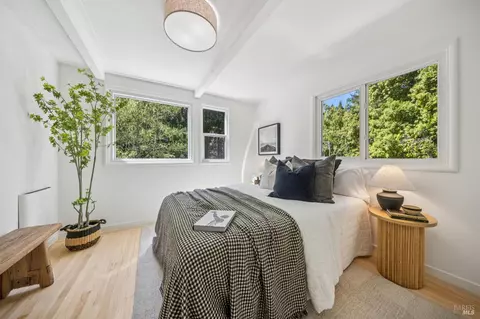 Bedroom - 334 W Blithedale Ave, Mill Valley, CA 94941 photo 16 of 16