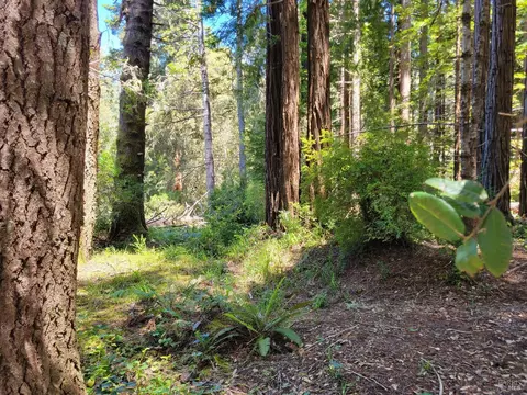 315 Chinquapin Ln, The Sea Ranch, CA 95497