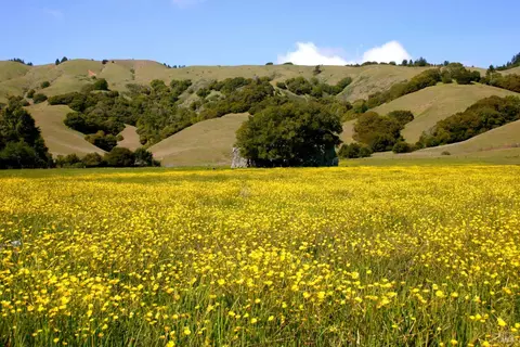 Other - 1 Alamo Way, Lagunitas, CA 94938 photo 18 of 18
