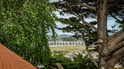 View/Area - 301 Greene St, Mill Valley, CA 94941 photo 1 of 1