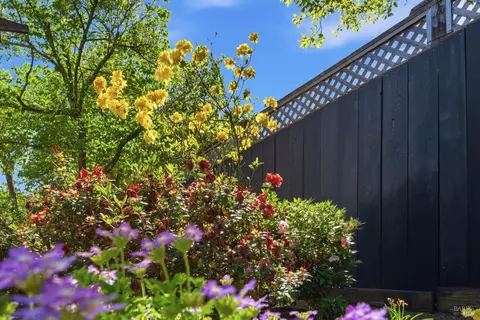 Exterior - 665 4th St E, Sonoma, CA 95476 photo 6 of 15