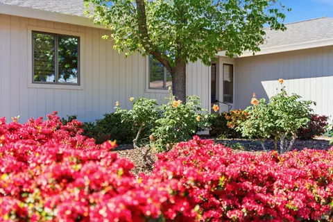 Exterior - 665 4th St E, Sonoma, CA 95476 photo 3 of 15