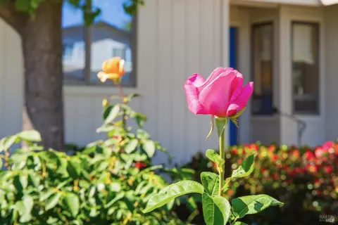 Exterior - 665 4th St E, Sonoma, CA 95476 photo 12 of 15