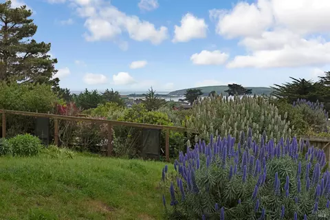 Exterior - 1534 Highway 1, Bodega Bay, CA 94923 photo 15 of 18