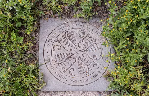 Other - Undisclosed, Sonoma, CA 95476 photo 12 of 22