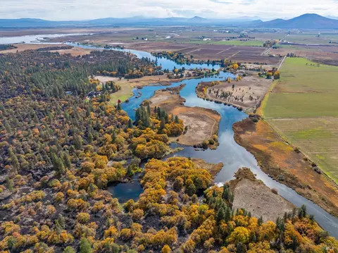 View/Area - 41579 Osprey Rd, Fall River Mills, CA 96028 photo 4 of 19
