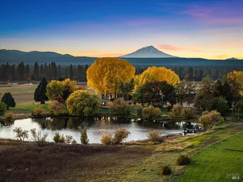 View/Area - 41579 Osprey Rd, Fall River Mills, CA 96028 photo 18 of 19
