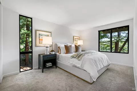 343 Carrera Dr, Mill Valley, CA 94941 photo 29