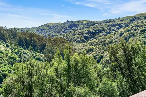 343 Carrera Dr, Mill Valley, CA 94941 photo 40