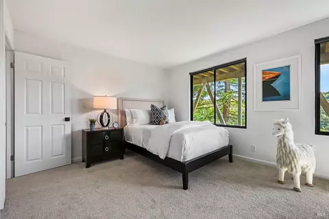 343 Carrera Dr, Mill Valley, CA 94941 photo 32