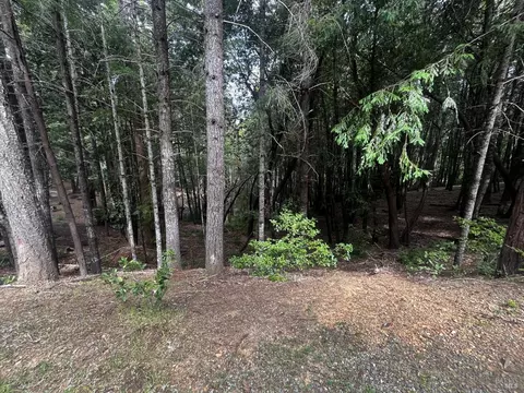 1572 Camellia Pl, Willits, CA 95490