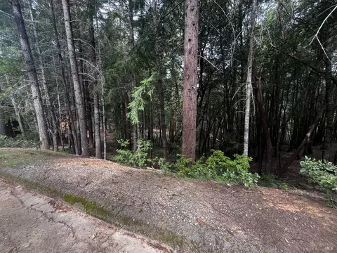 1572 Camellia Pl, Willits, CA 95490 photo 2