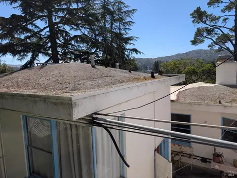 100 E Manor Dr, Mill Valley, CA 94941 photo 3