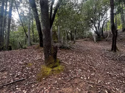 1921 Clover Dr, Willits, CA 95490