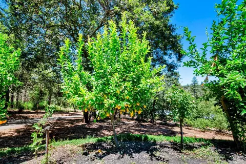 Other - 305 West Ln, Angwin, CA 94508 photo 15 of 21