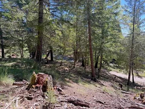 25940 Poppy Pl, Willits, CA 95490 photo 9