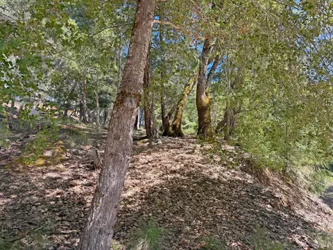 25940 Poppy Pl, Willits, CA 95490 photo 3
