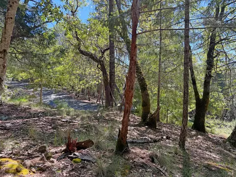25940 Poppy Pl, Willits, CA 95490 photo 4